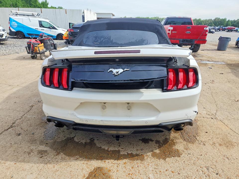 52199256 :رقم المزاد ، 1FATP8UH4K5104378 vin ، 2019 Ford Mustang مزاد بيع