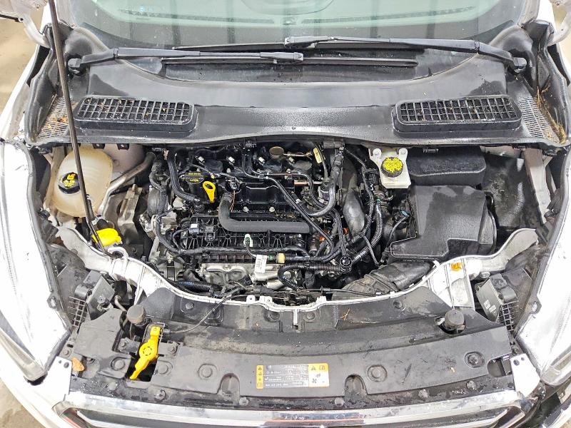 Продаж на аукціоні авто 2019 Ford Escape, vin: 1FMCU0GD4KUC20775, номер лоту: 54291726