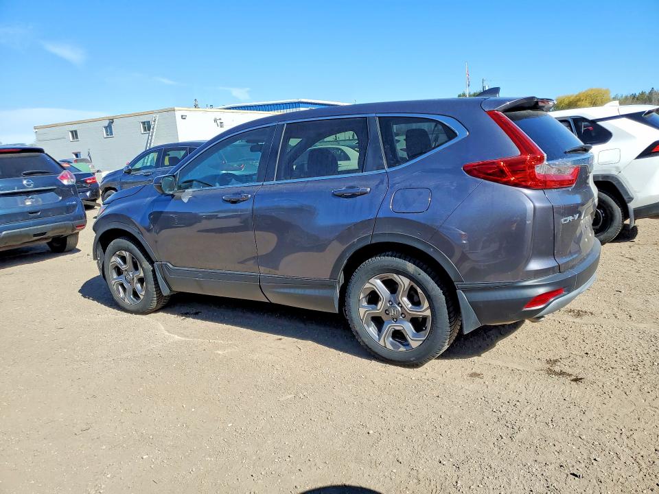 53282466 :رقم المزاد ، 2HKRW2H51KH126293 vin ، 2019 Honda Cr-v مزاد بيع