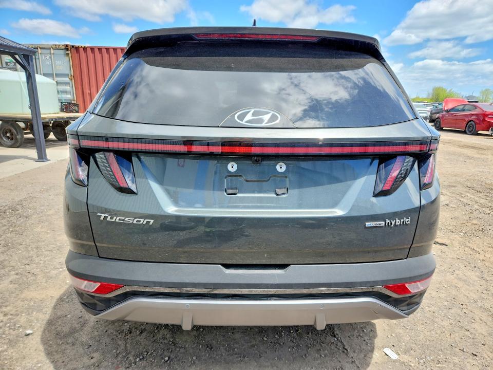 Продажа на аукционе авто 2024 Hyundai Tucson, vin: KM8JCCD11RU195592, номер лота: 54592346