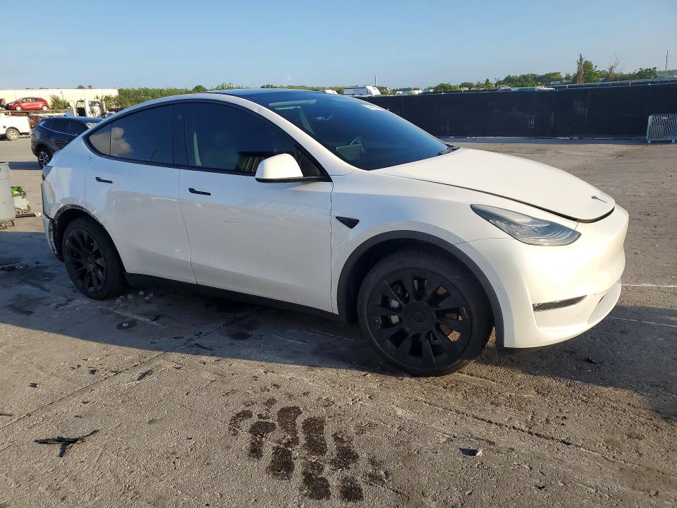 Продаж на аукціоні авто 2021 Tesla Model Y, vin: 5YJYGDED6MF122631, номер лоту: 54120116