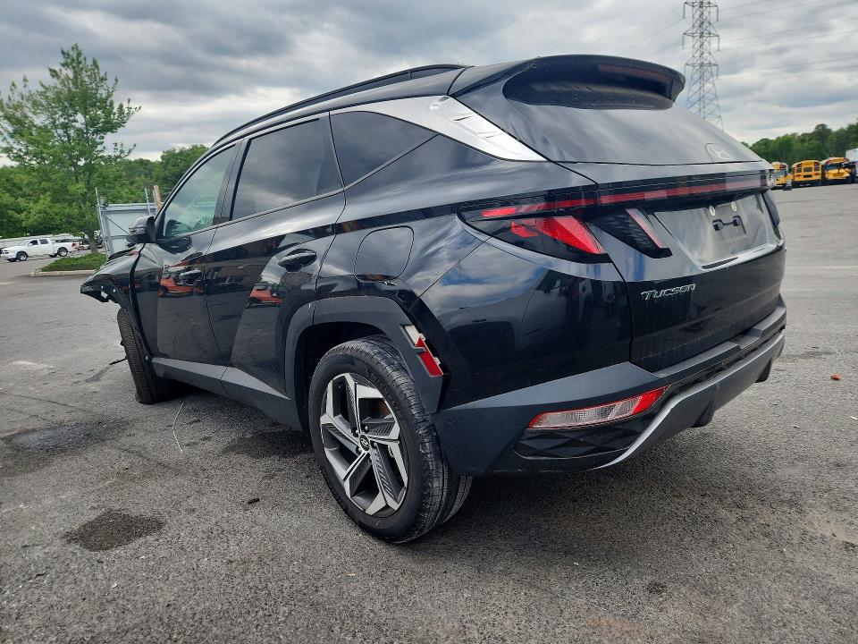 Продажа на аукционе авто 2024 Hyundai Tucson, vin: 5NMJECDE8RH329569, номер лота: 53987266