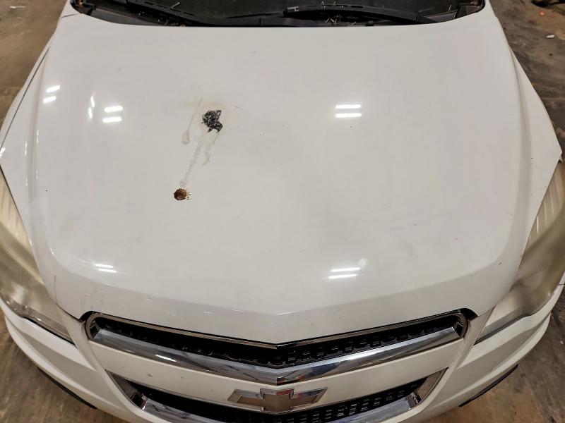 52429416 :رقم المزاد ، 2GNALBEK6C1217120 vin ، 2012 Chevrolet Equinox مزاد بيع