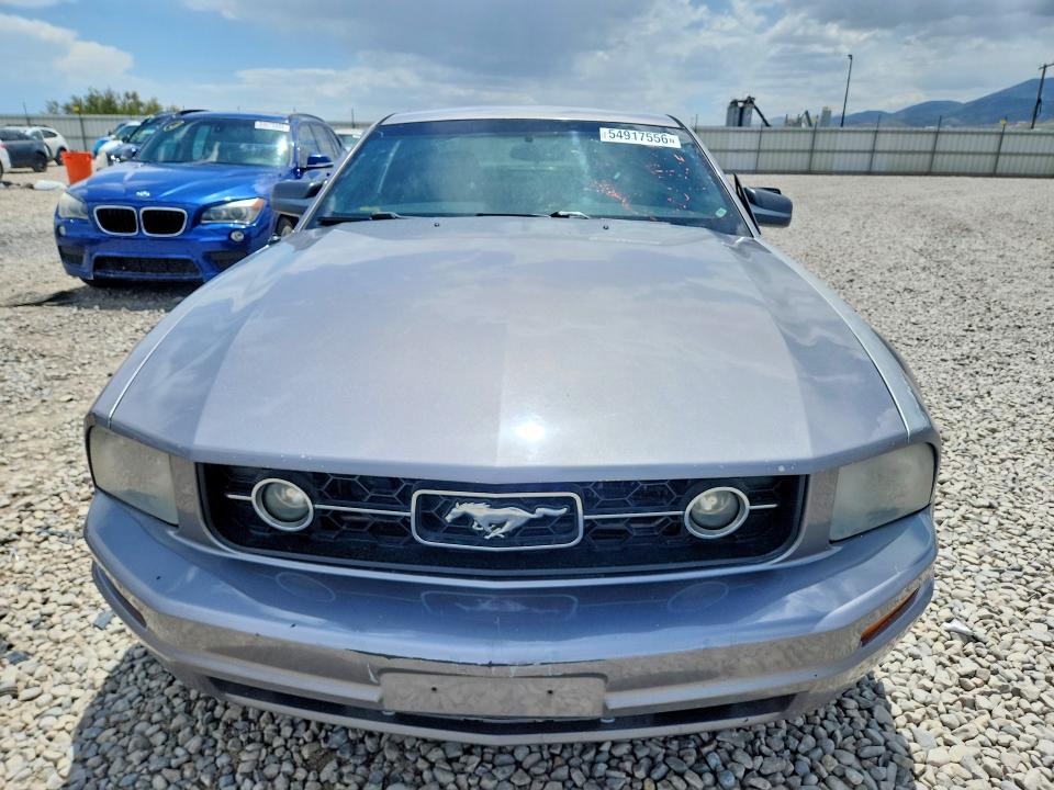 54917556 :رقم المزاد ، 1ZVFT80NX65177059 vin ، 2006 Ford Mustang مزاد بيع