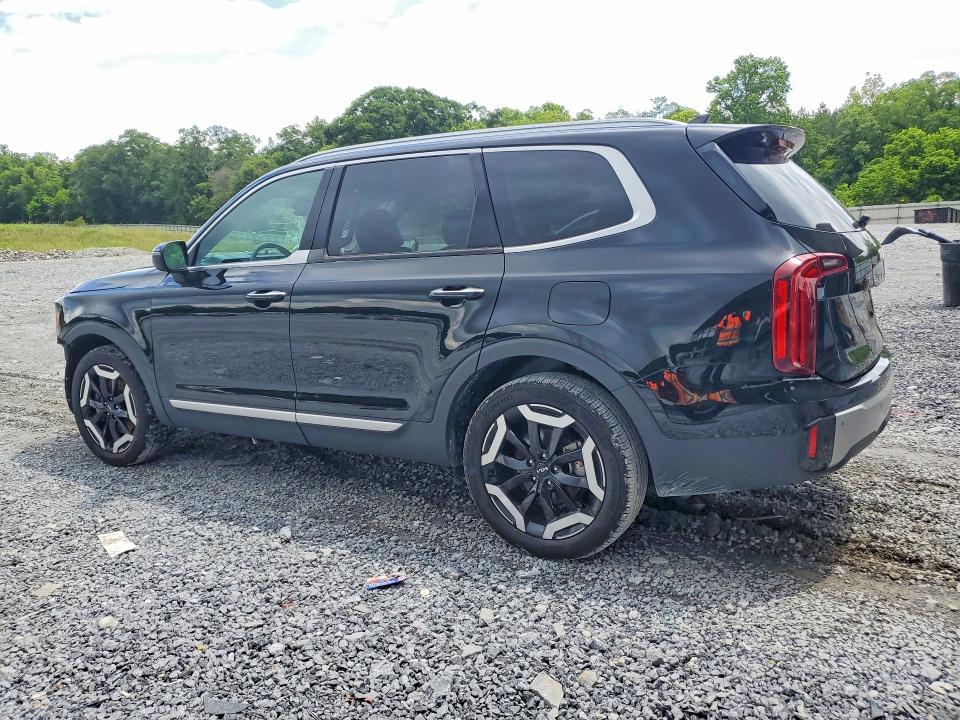 2024 Kia Telluride მანქანა იყიდება აუქციონზე, vin: 5XYP64GCXRG444773, აუქციონის ნომერი: 55141176