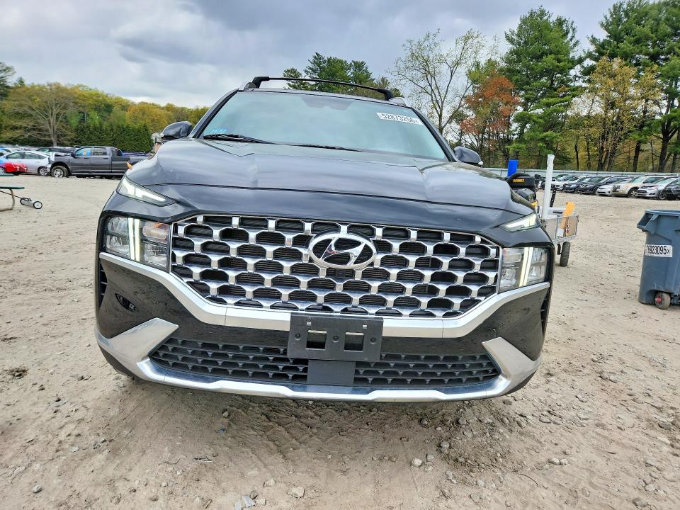 Продаж на аукціоні авто 2023 Hyundai Santa Fe, vin: 5NMS3DAJ0PH578561, номер лоту: 52873256