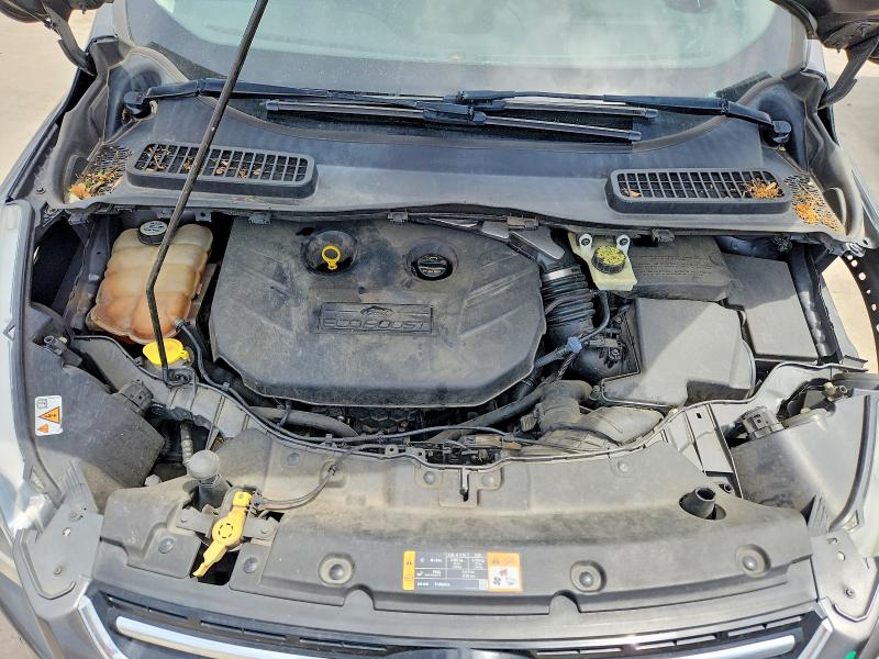 53782986 :رقم المزاد ، 1FMCU0J98DUA00188 vin ، 2013 Ford Escape مزاد بيع