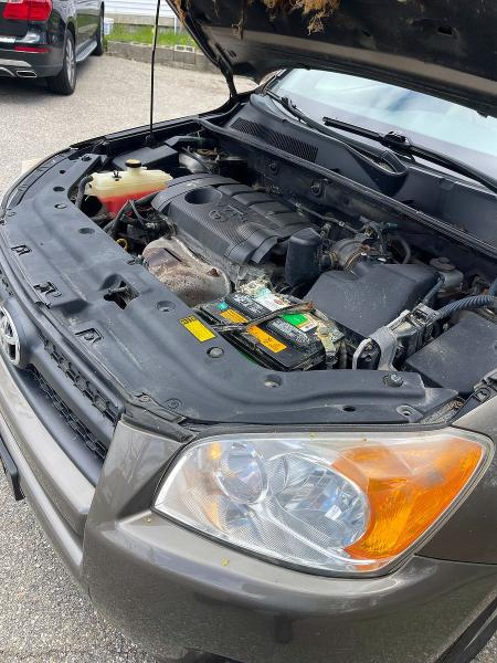 52872666 :رقم المزاد ، 2T3BF4DV4BW176634 vin ، 2011 Toyota Rav4 مزاد بيع