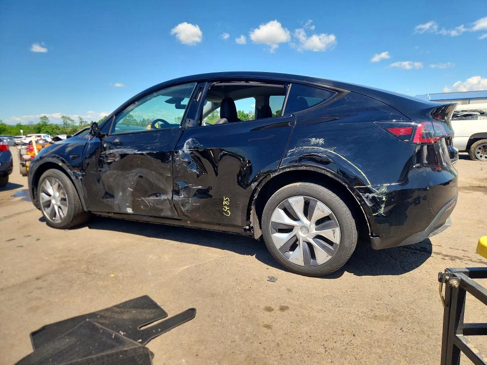 Продаж на аукціоні авто 2023 Tesla Model Y, vin: 7SAYGDEE0PA195006, номер лоту: 55171556