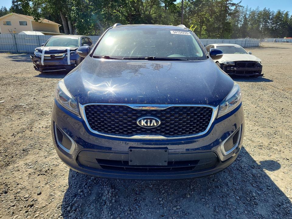 Auction sale of the 2017 Kia Sorento, vin: 5XYPGDA58HG335363, lot number: 54134226