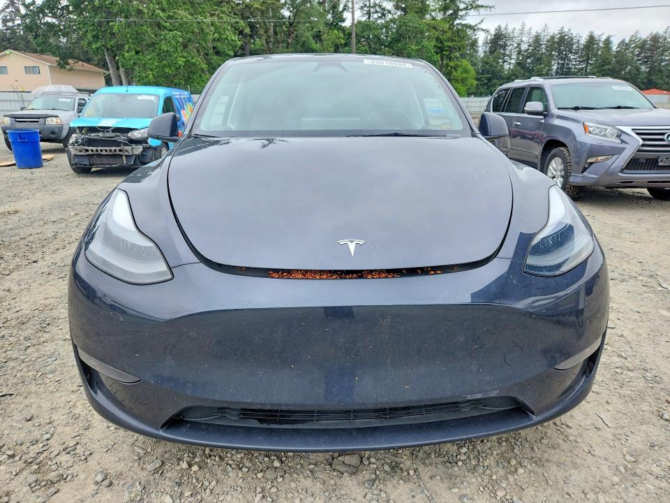 2024 Tesla Model Y მანქანა იყიდება აუქციონზე, vin: 7SAYGDEEXRF074411, აუქციონის ნომერი: 54010986
