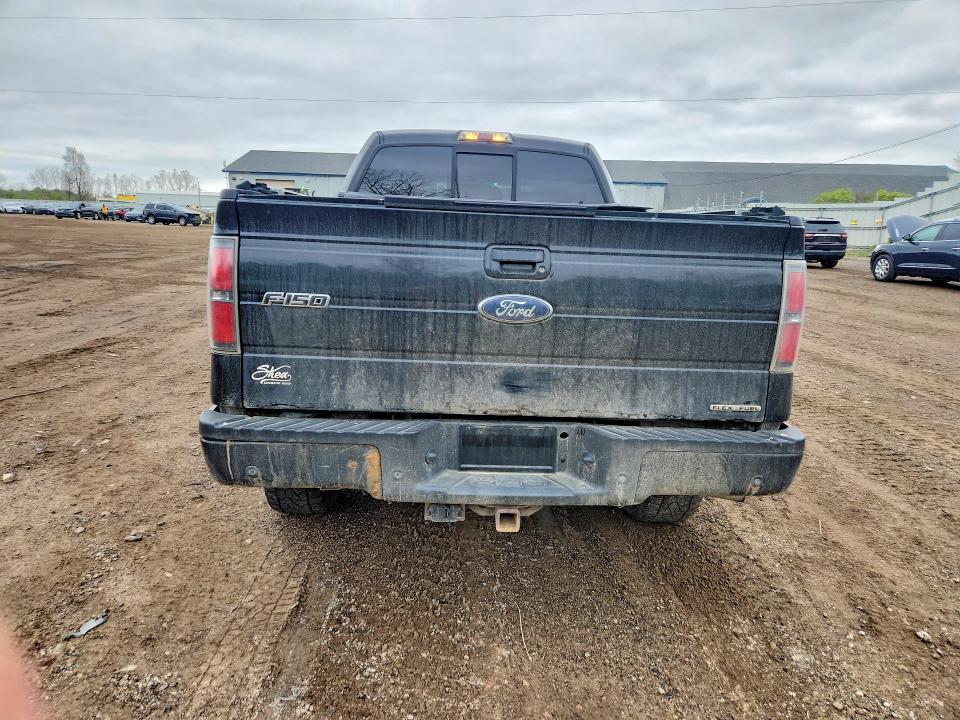 53204706 :رقم المزاد ، 1FTFW1EF0CFA46568 vin ، 2012 Ford F150 مزاد بيع