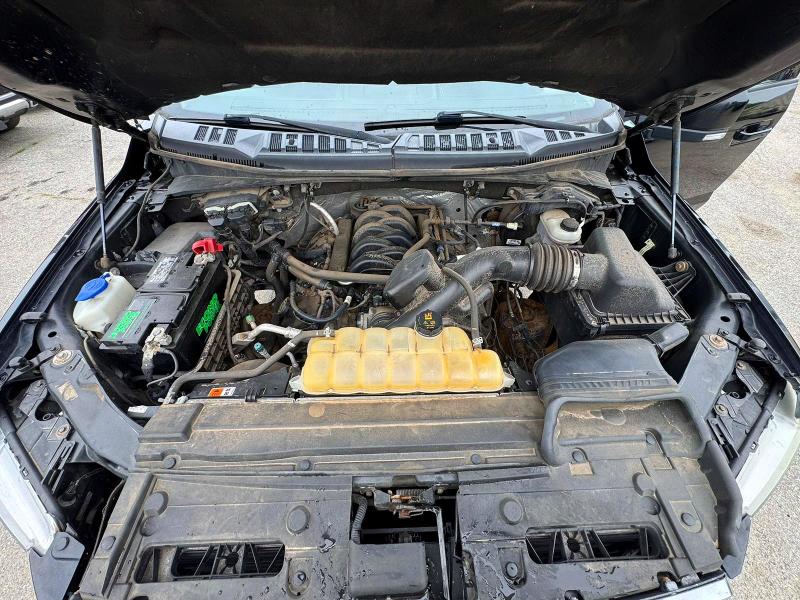 Продаж на аукціоні авто 2017 Ford F150, vin: 1FTEW1EF0HFA91903, номер лоту: 54560116