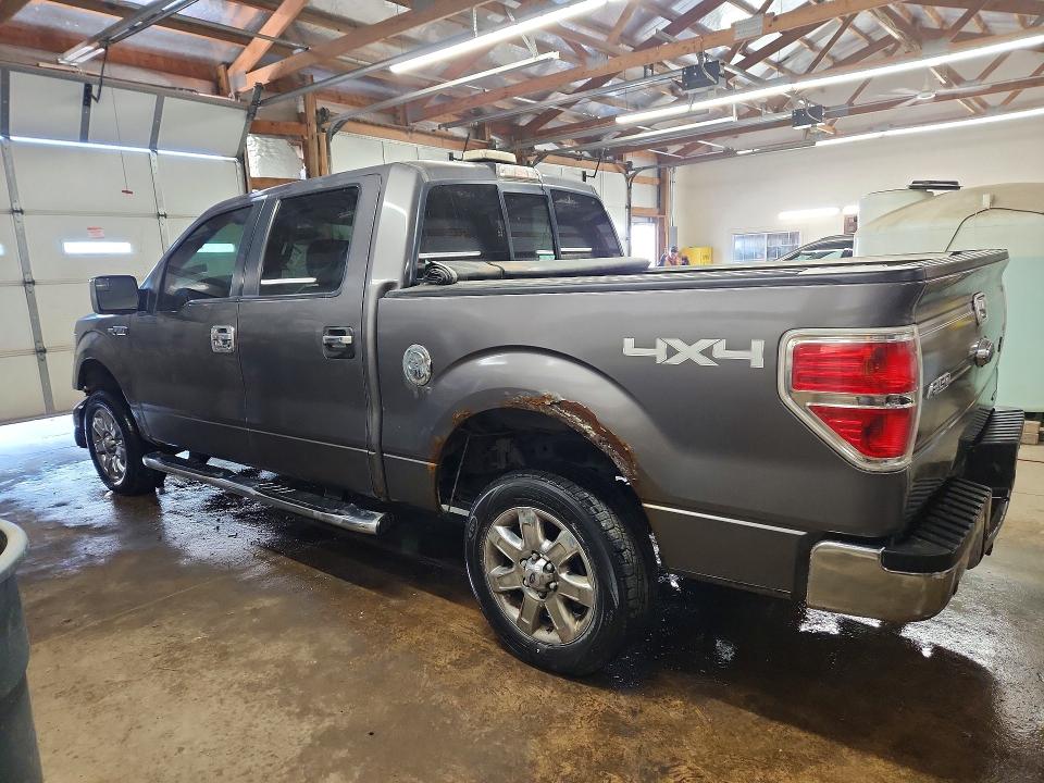 Продаж на аукціоні авто 2013 Ford F150, vin: 1FTFW1EF4DKE86186, номер лоту: 52184686