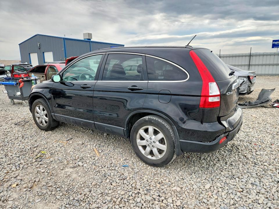 53054976 :رقم المزاد ، JHLRE48789C012445 vin ، 2009 Honda Cr-v مزاد بيع