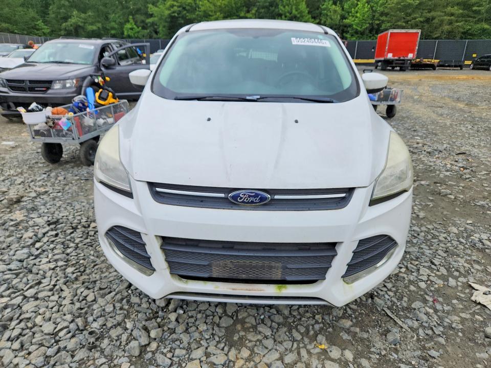 Продаж на аукціоні авто 2014 Ford Escape, vin: 1FMCU0GX5EUC69384, номер лоту: 55240446
