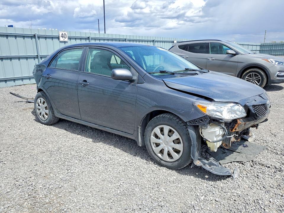 Продаж на аукціоні авто 2010 Toyota Corolla, vin: 2T1BU4EE6AC364312, номер лоту: 52023876
