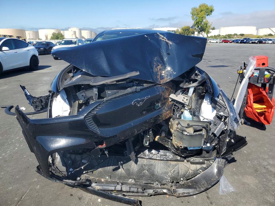 2025 Ford Mustang Mach-e მანქანა იყიდება აუქციონზე, vin: 3FMTK1R49SMA19905, აუქციონის ნომერი: 52439086