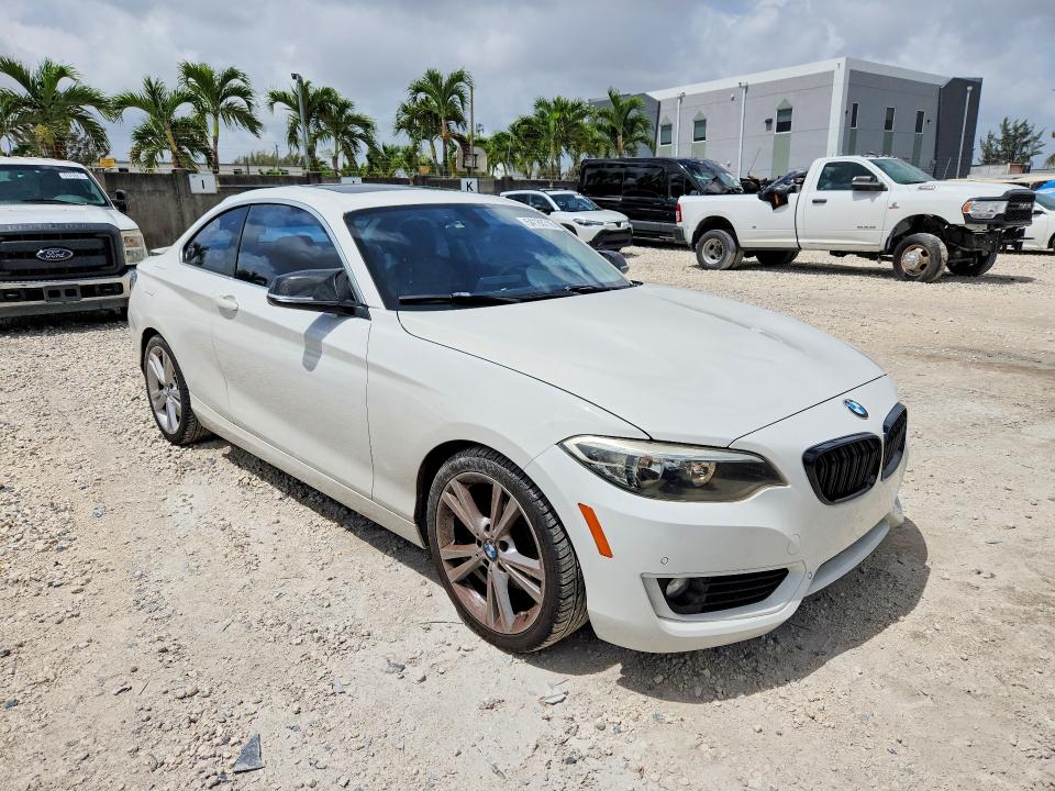 Продажа на аукционе авто 2014 Bmw 228, vin: WBA1F5C51EV256274, номер лота: 54188716