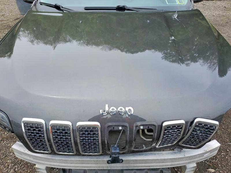 Продажа на аукционе авто 2019 Jeep Cherokee, vin: 1C4PJMDX6KD431996, номер лота: 52541646