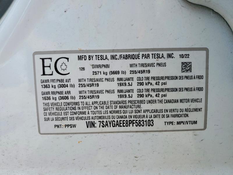 53213906 :رقم المزاد ، 7SAYGAEE8PF583103 vin ، 2023 Tesla Model Y مزاد بيع