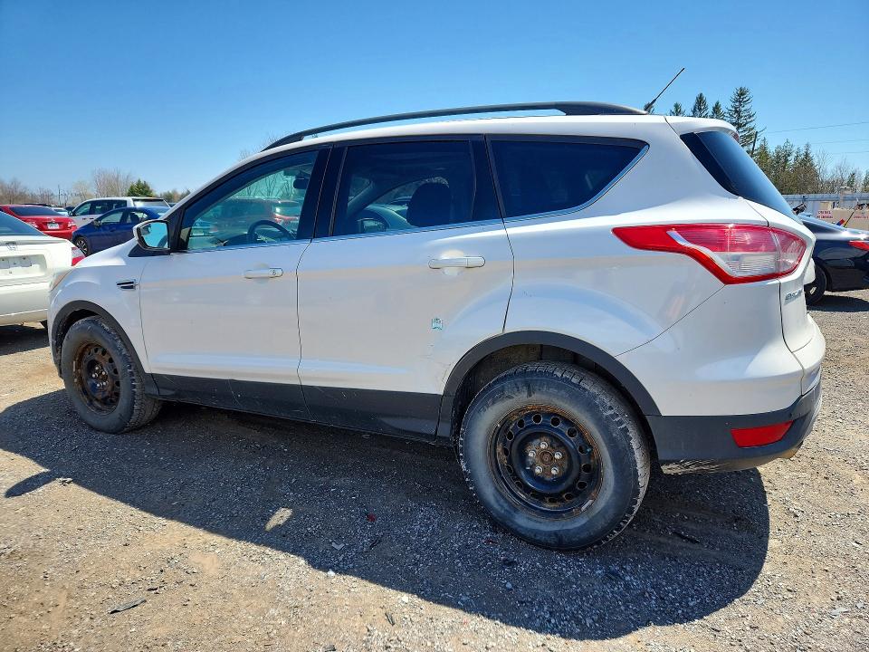 Продаж на аукціоні авто 2014 Ford Escape, vin: 1FMCU9GX7EUC40067, номер лоту: 51854456