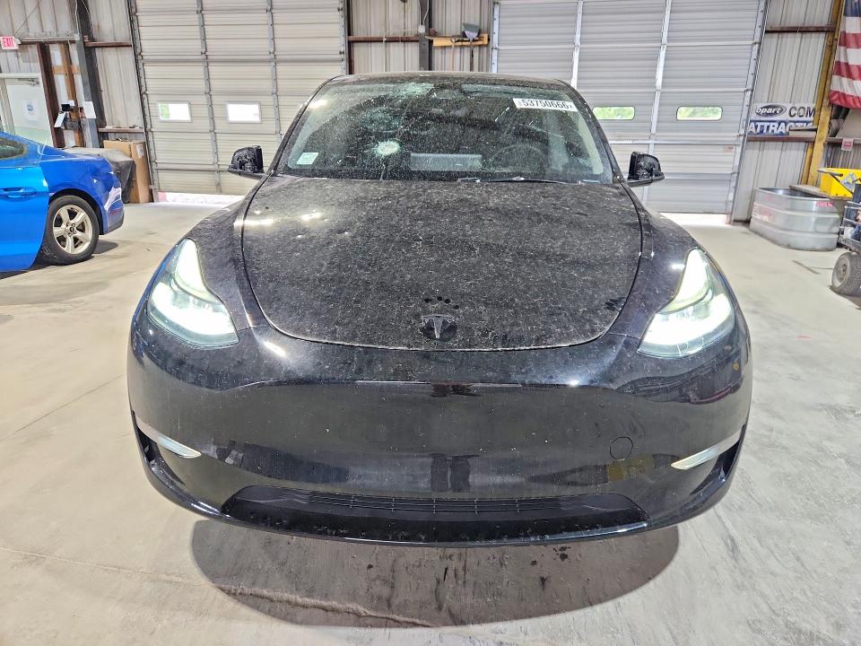 Aukcja sprzedaży 2024 Tesla Model Y, vin: 7SAYGDEE5RA304983, numer aukcji: 53750666