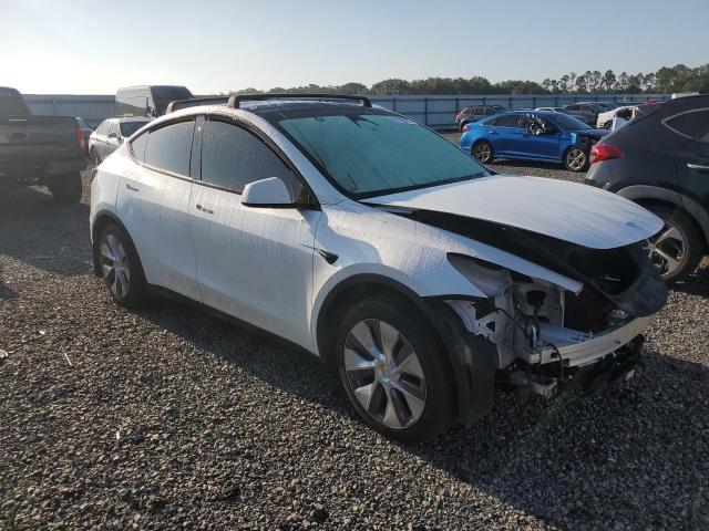 Продаж на аукціоні авто 2023 Tesla Model Y, vin: 7SAYGDEE0PA114523, номер лоту: 53700476