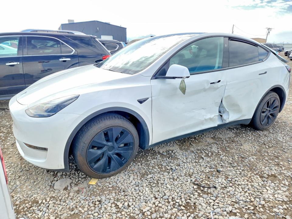 Aukcja sprzedaży 2025 Tesla Model Y, vin: 7SAYGDEEXSF259046, numer aukcji: 54833236