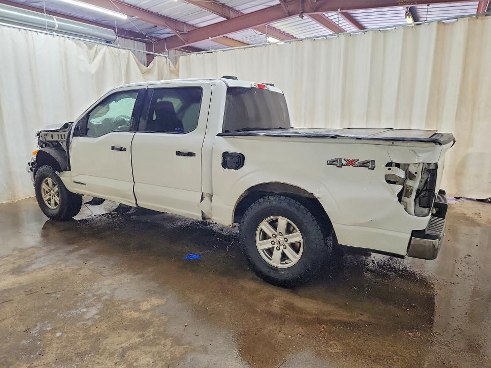 Продаж на аукціоні авто 2022 Ford F150, vin: 1FTFW1ED4NFB30555, номер лоту: 50663186
