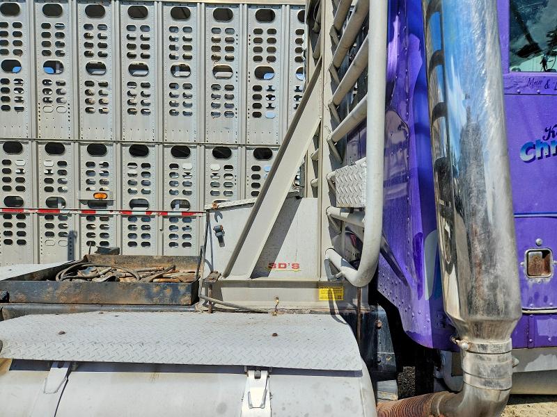 1995 Peterbilt 379 მანქანა იყიდება აუქციონზე, vin: 1XP5LB9XXSD381682, აუქციონის ნომერი: 53818106