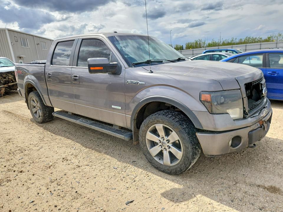 53731626 :رقم المزاد ، 1FTFW1ET0EKE41883 vin ، 2014 Ford F150 مزاد بيع