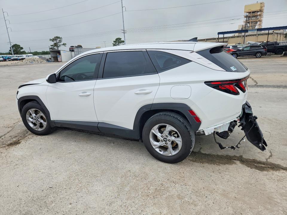 2024 Hyundai Tucson მანქანა იყიდება აუქციონზე, vin: 5NMJA3DE4RH323019, აუქციონის ნომერი: 52579126
