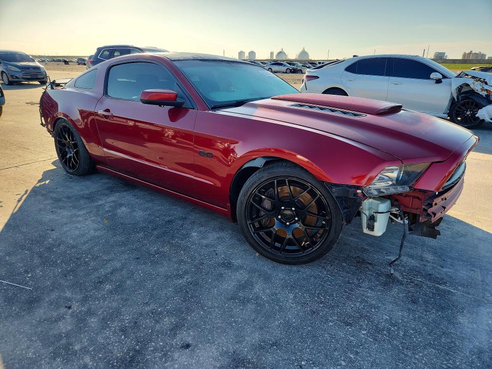 50420496 :رقم المزاد ، 1ZVBP8CF5E5214458 vin ، 2014 Ford Mustang مزاد بيع
