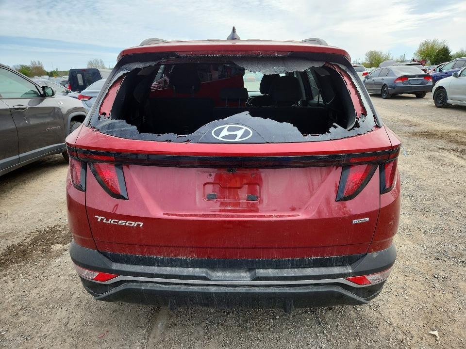 54072286 :رقم المزاد ، KM8JBCAE3PU250423 vin ، 2023 Hyundai Tucson مزاد بيع