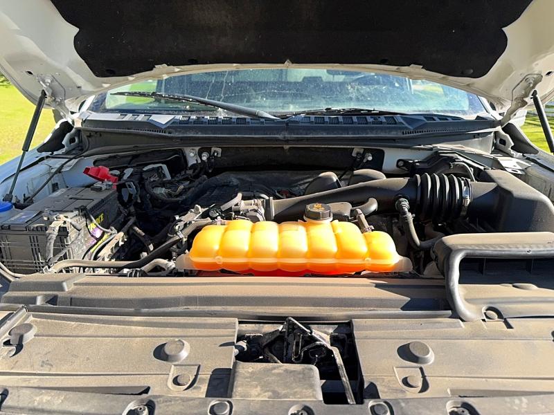 Auction sale of the 2018 Ford F150, vin: 1FTMF1EB7JKD39070, lot number: 54782816