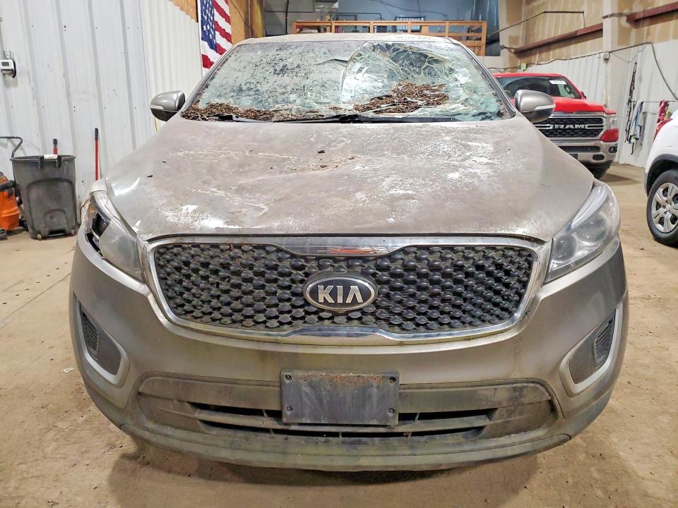 Продаж на аукціоні авто 2017 Kia Sorento, vin: 5XYPG4A32HG287504, номер лоту: 52645686