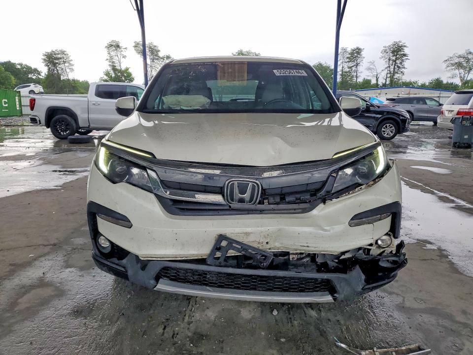 2019 Honda Pilot მანქანა იყიდება აუქციონზე, vin: 5FNYF5H54KB031898, აუქციონის ნომერი: 55256746