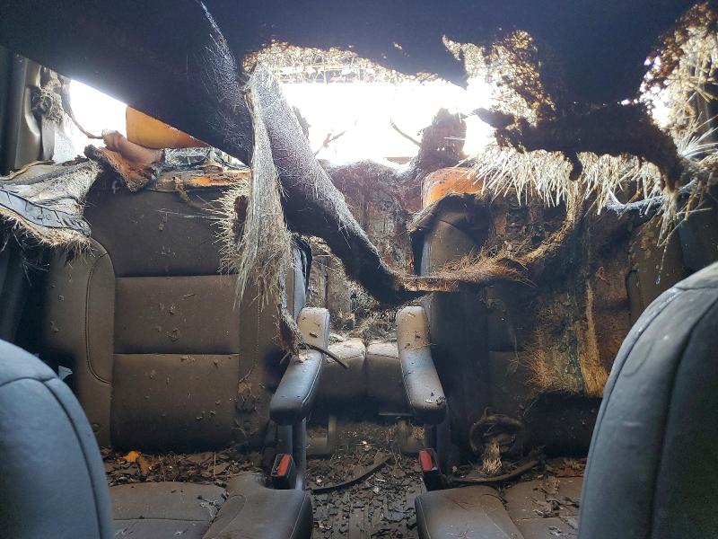 Aukcja sprzedaży 2019 Gmc Acadia, vin: 1GKKNULS6KZ229848, numer aukcji: 55389806