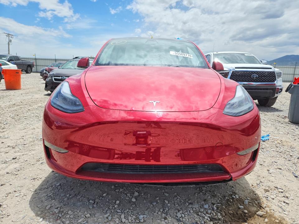Продаж на аукціоні авто 2023 Tesla Model Y, vin: 7SAYGDEF6PF779776, номер лоту: 55589716