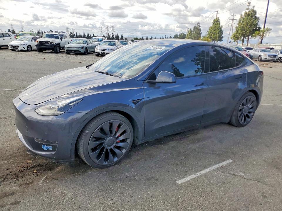 51769236 :رقم المزاد ، 5YJYGDEF8MF094008 vin ، 2021 Tesla Model Y مزاد بيع