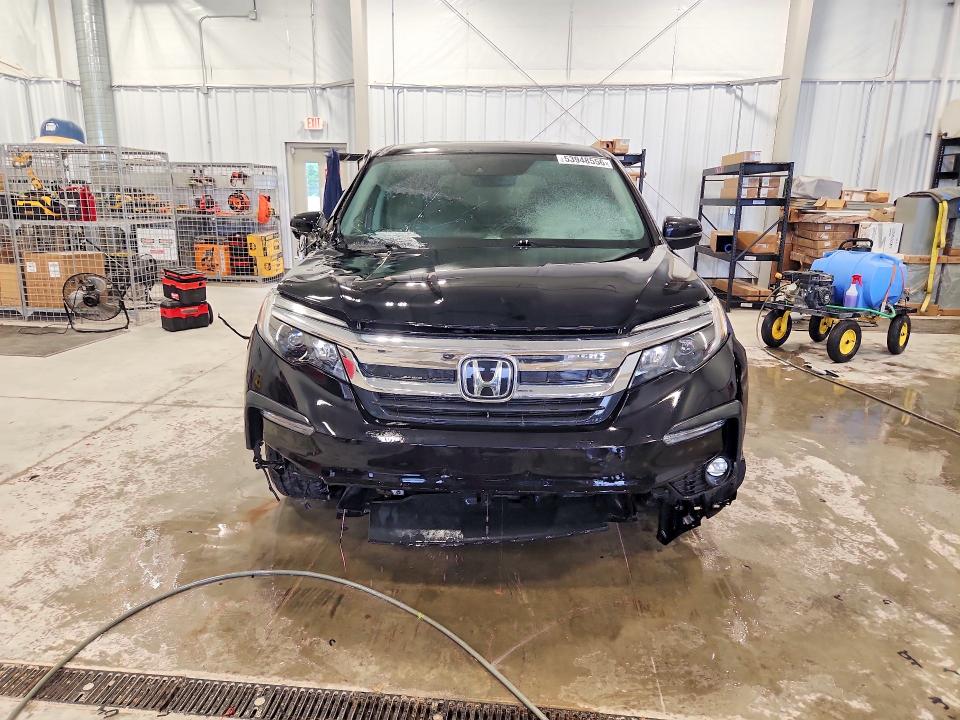 53948556 :رقم المزاد ، 5FNYF6H50KB047876 vin ، 2019 Honda Pilot مزاد بيع