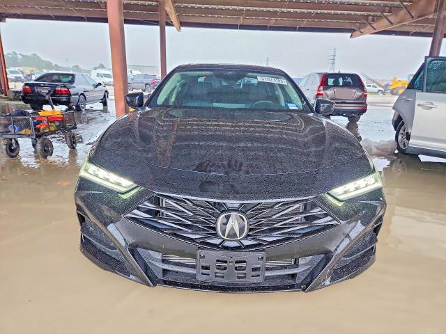 Aukcja sprzedaży 2025 Acura Tlx, vin: 19UUB5F43SA002858, numer aukcji: 51973406