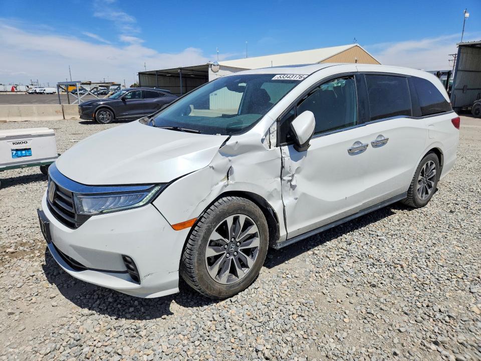 Auction sale of the 2021 Honda Odyssey, vin: 5FNRL6H71MB029680, lot number: 53343176