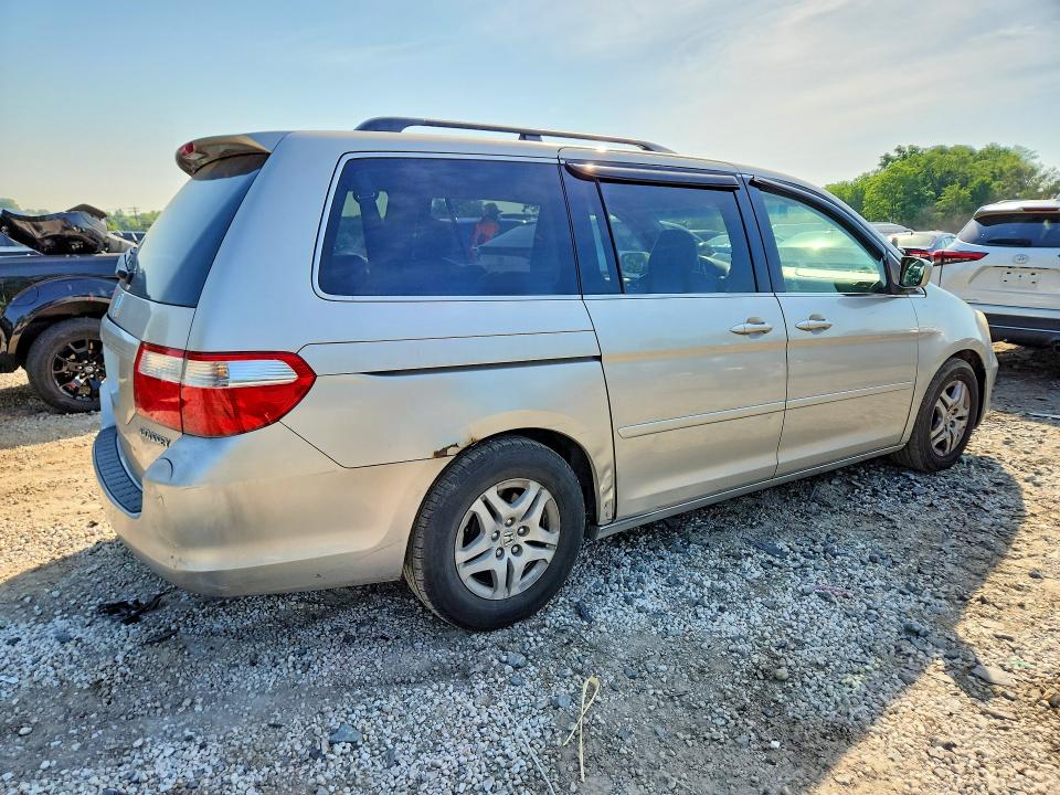 54113186 :رقم المزاد ، 5FNRL38705B135456 vin ، 2005 Honda Odyssey مزاد بيع