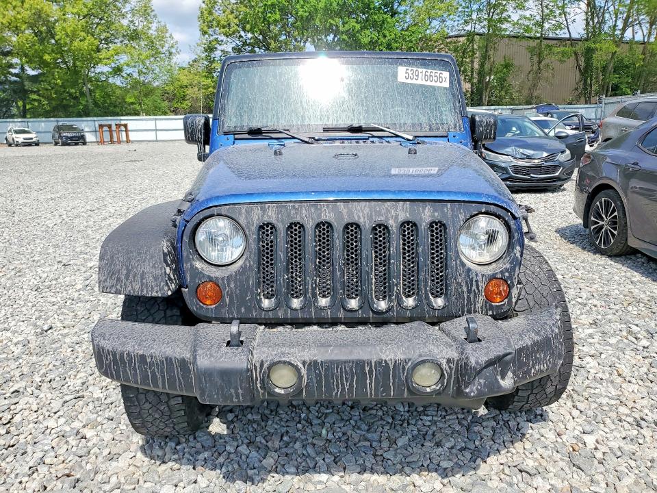 Продажа на аукционе авто 2009 Jeep Wrangler, vin: 1J4FA24179L714297, номер лота: 53916656