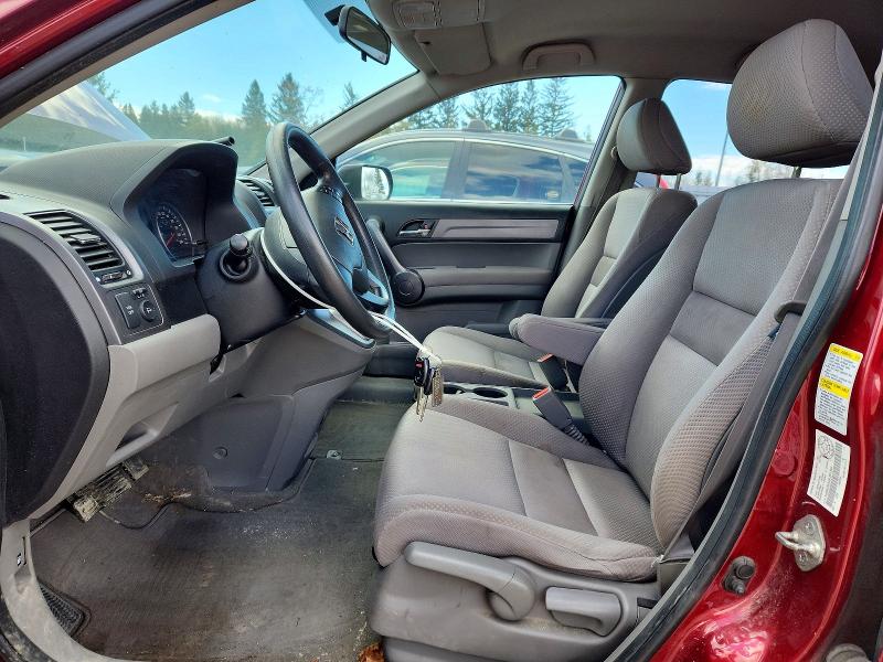 Продаж на аукціоні авто 2009 Honda Cr-v, vin: 5J6RE38349L801304, номер лоту: 53000356