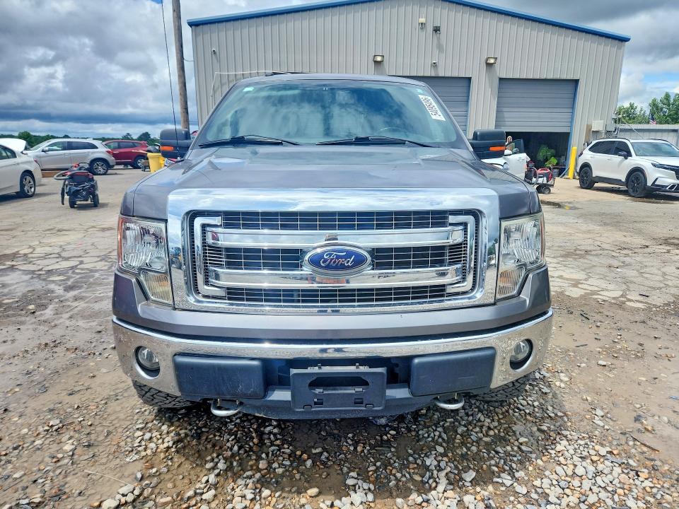 54095496 :رقم المزاد ، 1FTFW1EF2DFC32906 vin ، 2013 Ford F150 مزاد بيع