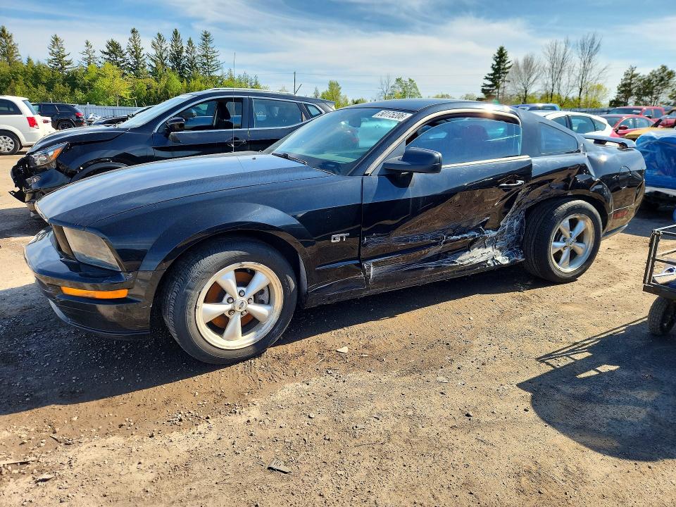 Продажа на аукционе авто 2007 Ford Mustang, vin: 1ZVFT82H575246149, номер лота: 50175206