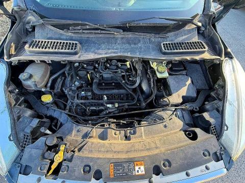 52322496 :رقم المزاد ، 1FMCU0GD6KUB11539 vin ، 2019 Ford Escape مزاد بيع